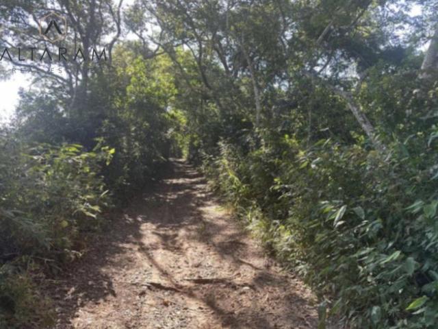 Terreno en renta en Tamiahua, Veracruz