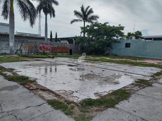 Terreno en renta en Tampico