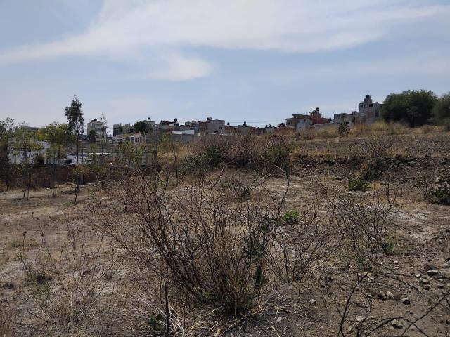 Terreno en renta en Cuitzeo, Michoacán