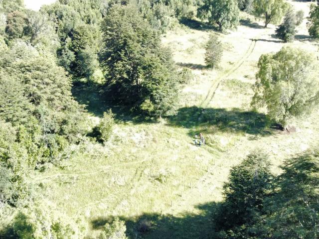 Terreno en venta en Río Bueno, Los Ríos