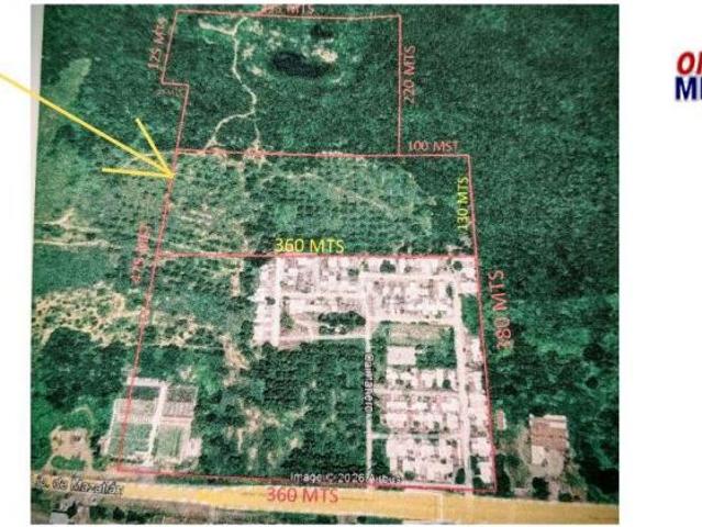 Terreno en venta en Rosario, Sinaloa