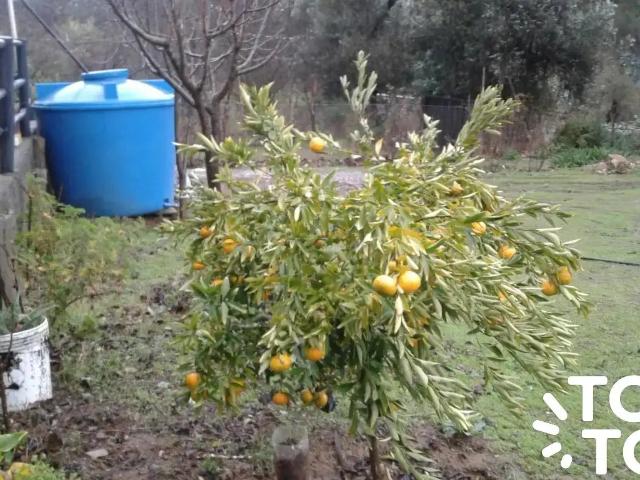 Terreno en venta en San Antonio, Valparaíso