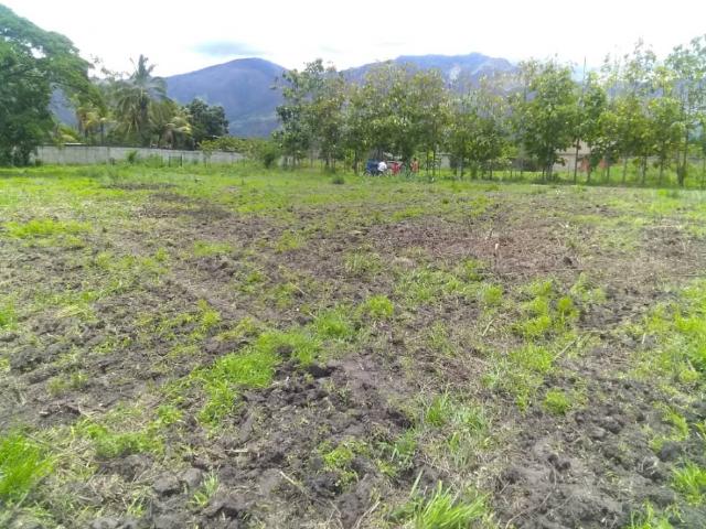 Terreno en venta en Valencia