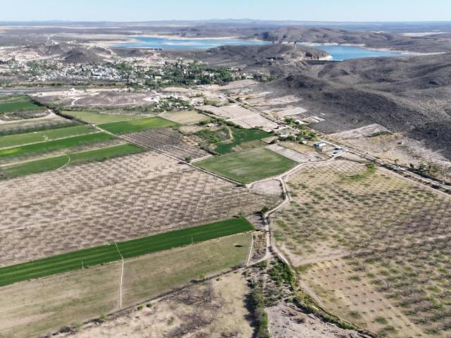 Terreno en venta en San Francisco De Conchos, Chihuahua