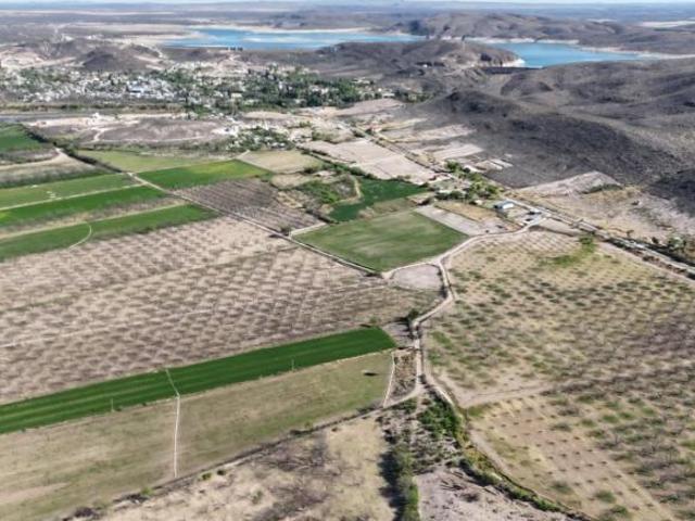 Terreno en venta en San Francisco De Conchos, Chihuahua