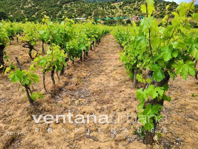 Terreno en venta en San Javier, Maule