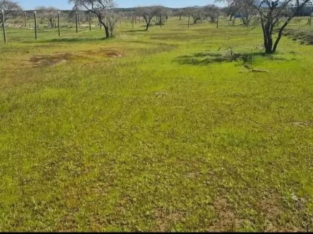Terreno en San Javier