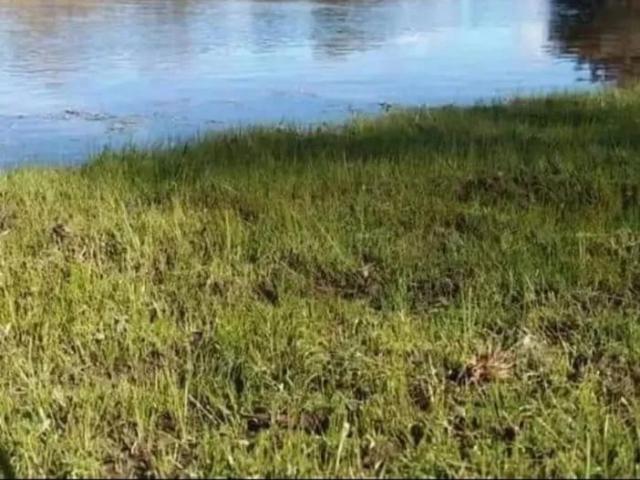 Terreno en San Javier