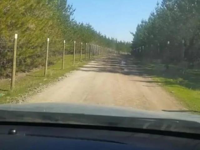 Terreno en San Javier