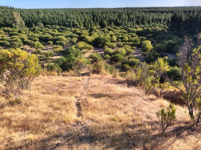 Terreno en San Javier