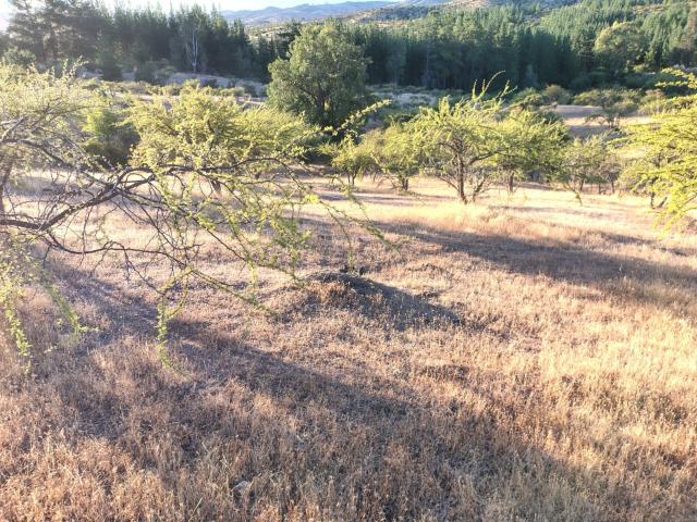 Terreno en San Javier