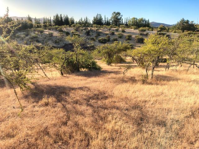 Terreno en San Javier