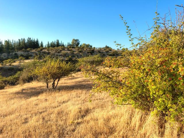 Terreno en San Javier