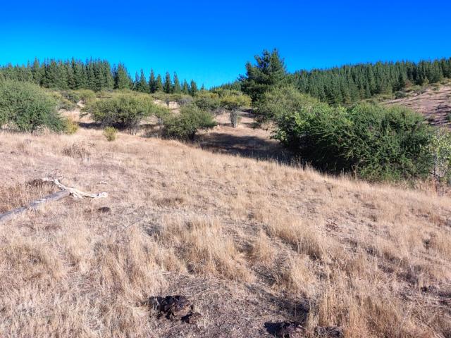 Terreno en San Javier