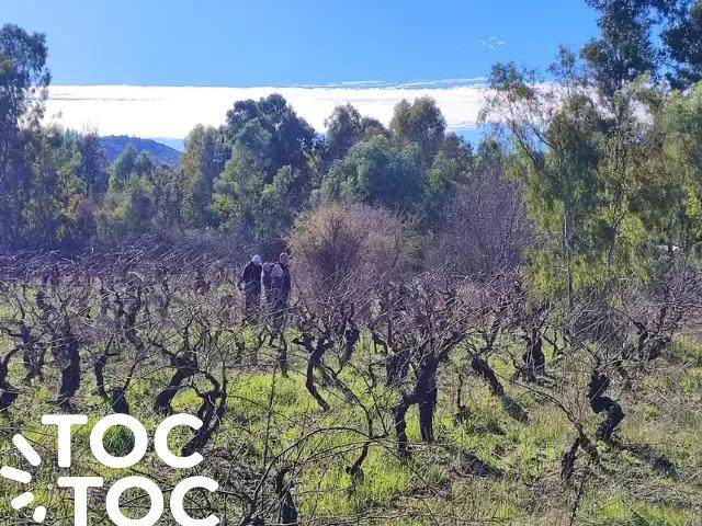 Terreno en venta en Carrizal, San Javier