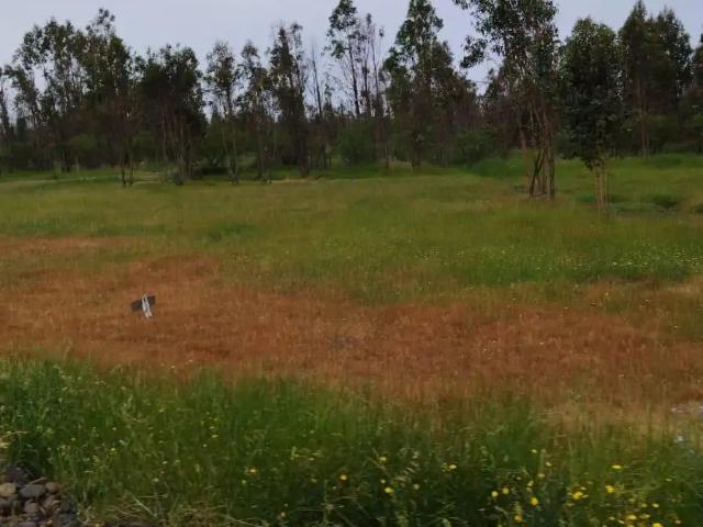 Terreno en venta en Ñuble