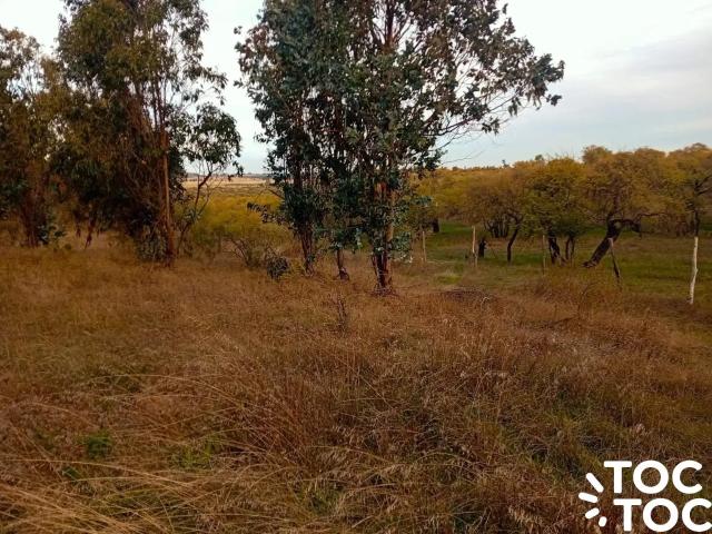 Terreno en venta en Ñuble