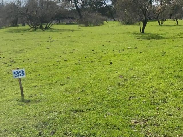 Terreno en venta en Ñuble