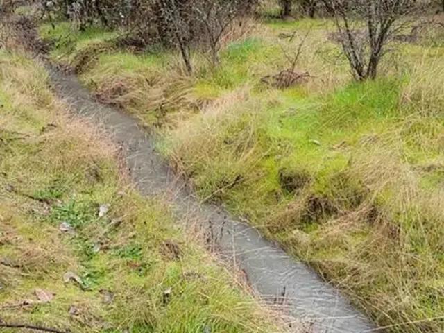 Terreno en venta en Ñuble
