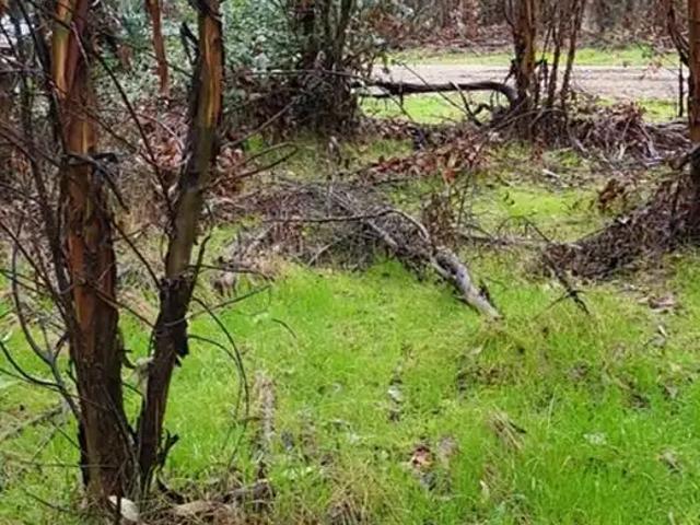 Terreno en venta en Ñuble