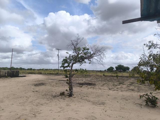 Terreno en venta en Maturin, Monagas