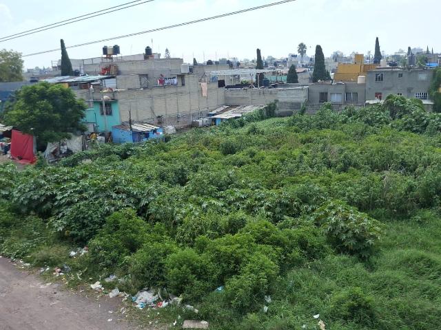 Terreno en renta en Acatepec, Estado de México
