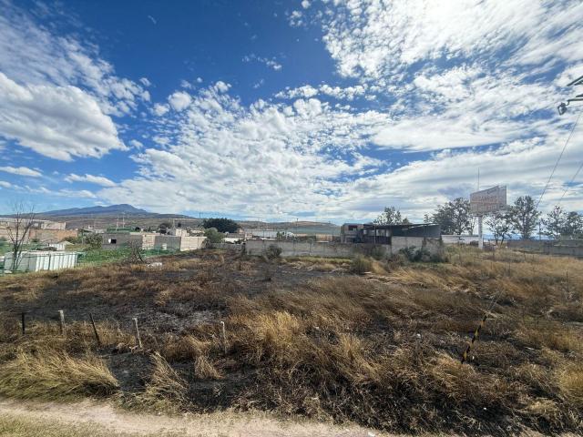 Terreno en renta en Tlajomulco De Zúñiga, Jalisco