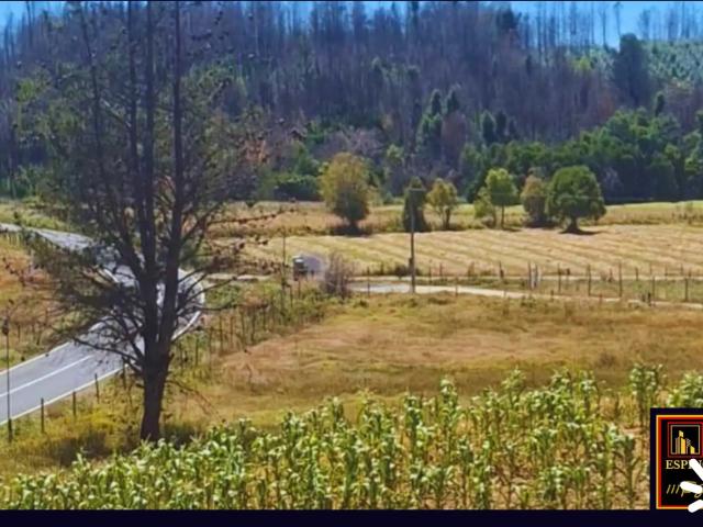 Terreno en venta en Santa Juana, Biobío