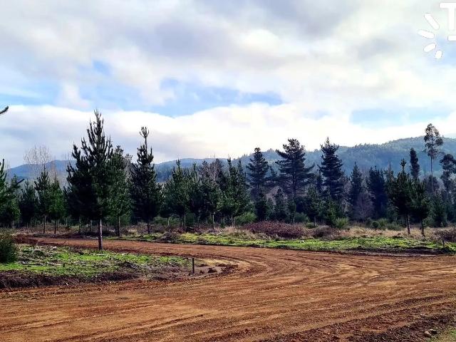 Terreno en venta en Santa Juana, Biobío