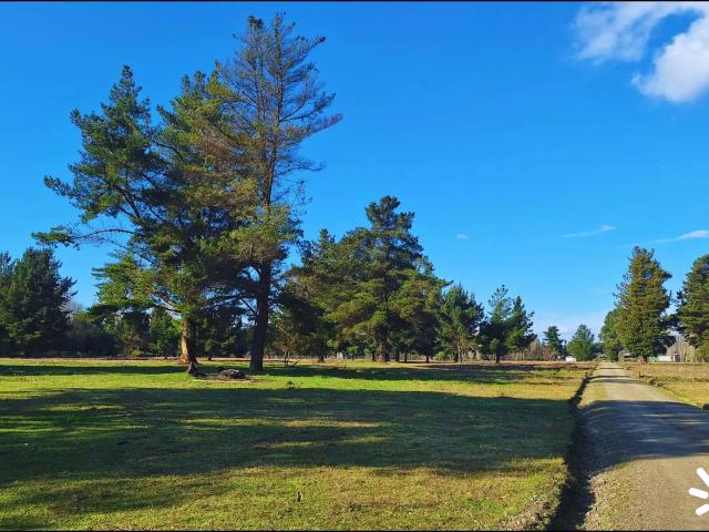 Terreno en venta en Santa Juana, Biobío