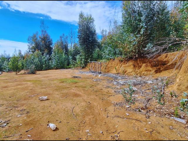 Terreno en venta en Santa Juana, Biobío