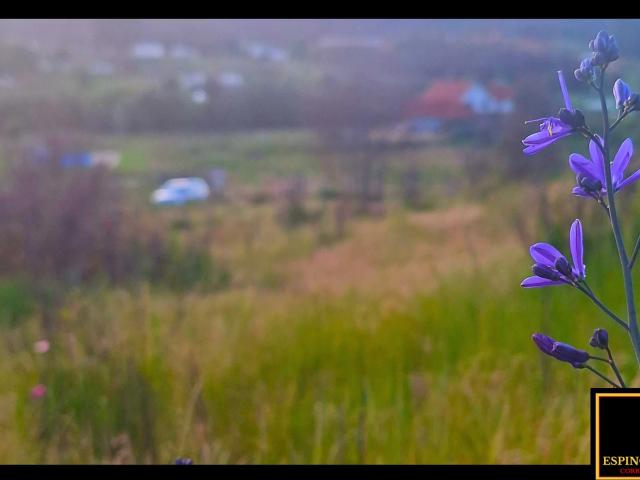 Terreno en venta en Santa Juana, Biobío