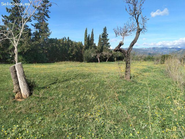 Local Comercial en venta en Raiguer, Baleares