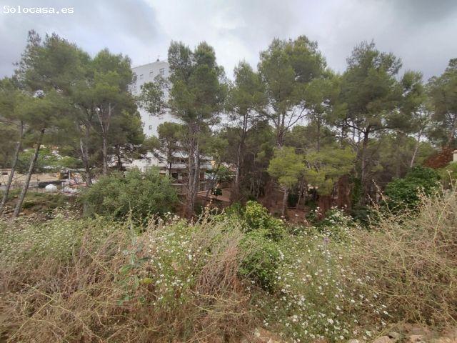 Terreno en venta en el Camp de Morvedre, Valencia