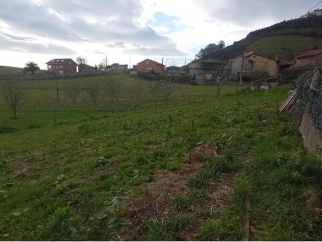 Local Comercial en venta en Sariego, Asturias