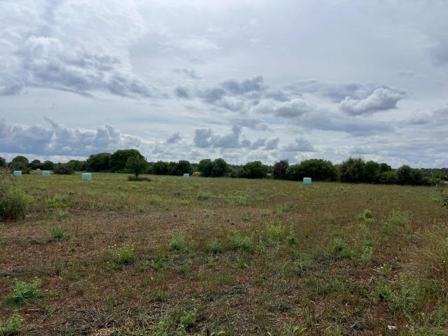 Terreno en venta en Pla de Mallorca, Baleares