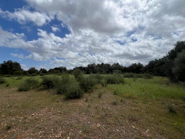 Terreno en venta en Pla de Mallorca, Baleares