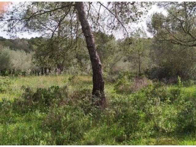 Local Comercial en venta en Pla de Mallorca, Baleares