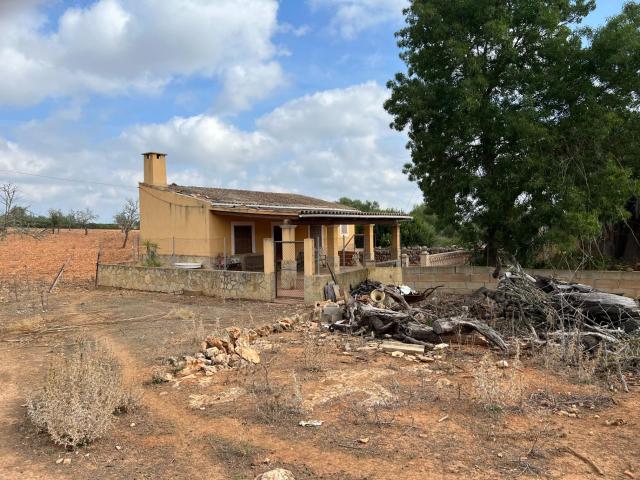 Terreno en venta en Sineu, ses Cases Noves