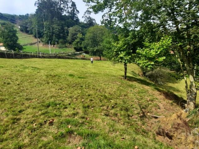 Terreno en venta en Arredondo, Cantabria