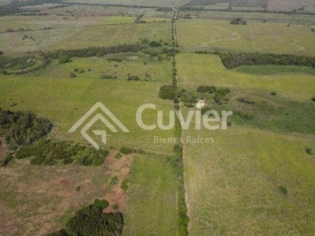 Terreno en venta en Tamalín, Veracruz