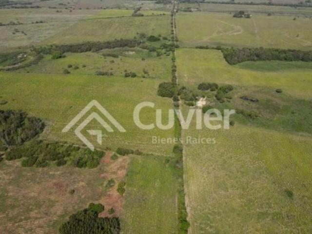 Terreno en venta en Tamalín, Veracruz