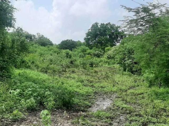 Terreno en venta en Colonia Lindavista, Tamuín