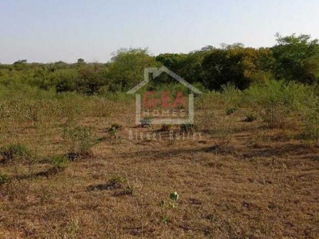 Terreno en venta en San Vicente Tancuayalab, San Luis Potosí