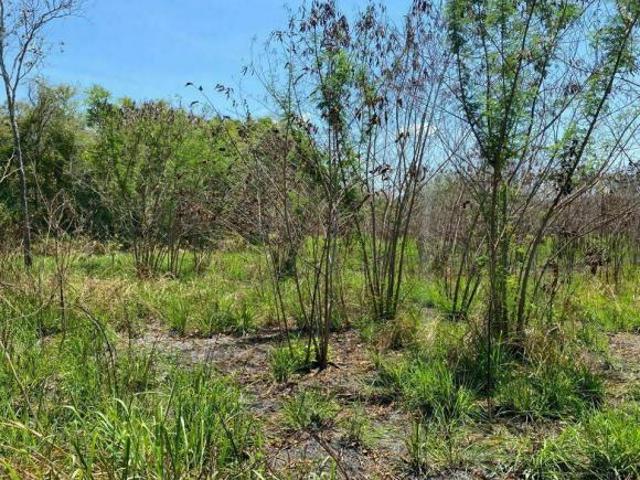 Rancho en venta en Tekax, Yucatán