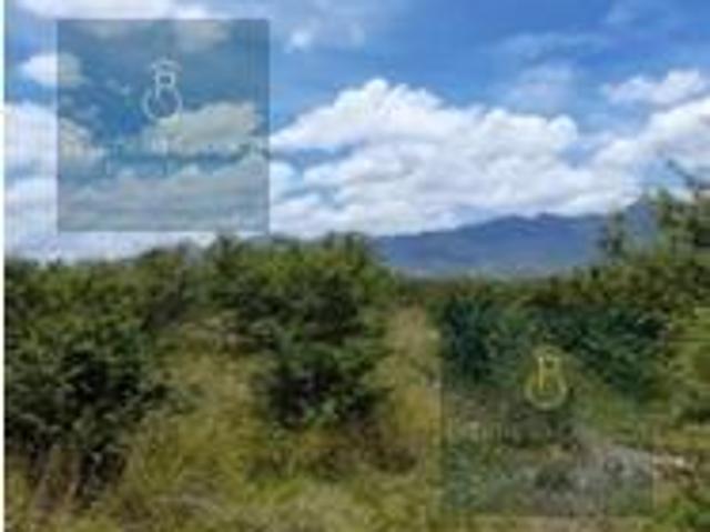 Terreno en venta en Tlacolula De Matamoros, Oaxaca