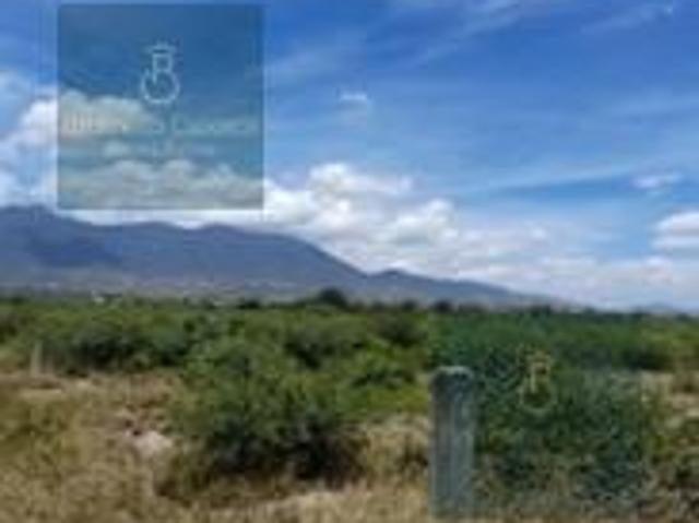 Terreno en venta en Tlacolula De Matamoros, Oaxaca