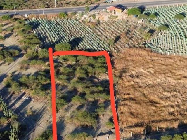 Terreno en venta en Tlacolula, Tlacolula de Matamoros