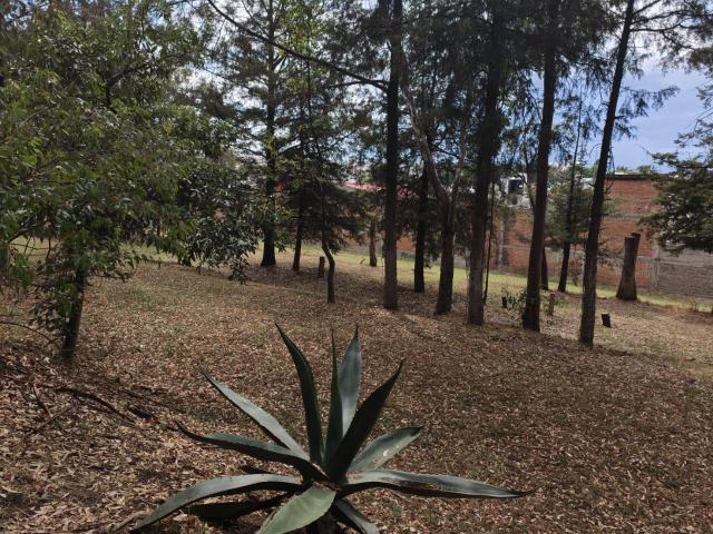 Terreno en venta en Altzayanca, Tlaxcala