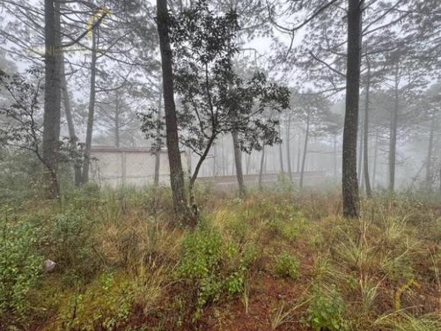 Terreno en venta en Las Vigas De Ramírez, Veracruz
